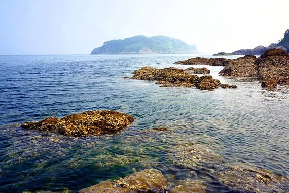 救援蓝色小鱼